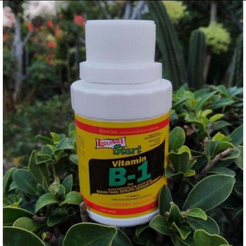 vit B1 tanaman 100ml liquinox star original anti stres tanaman