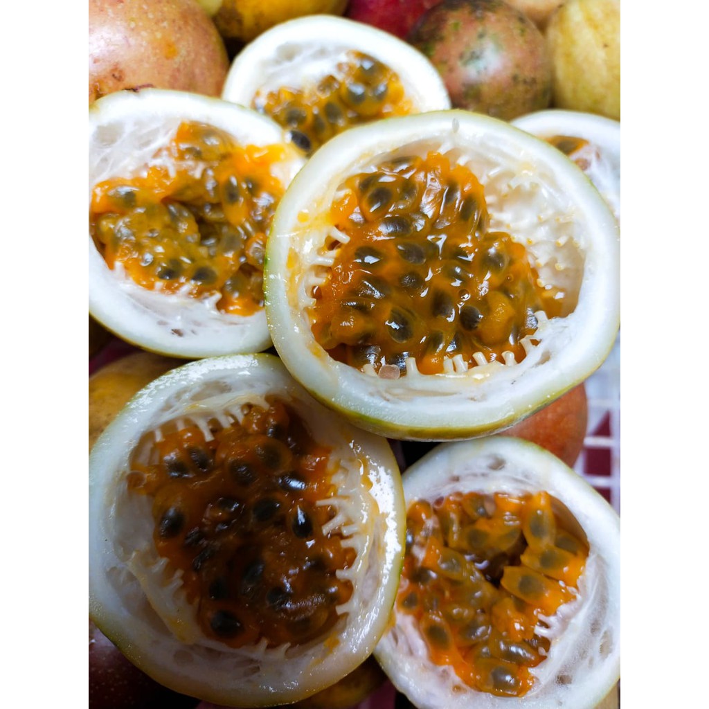 

MARKISA ASEM MANIS 1 KG