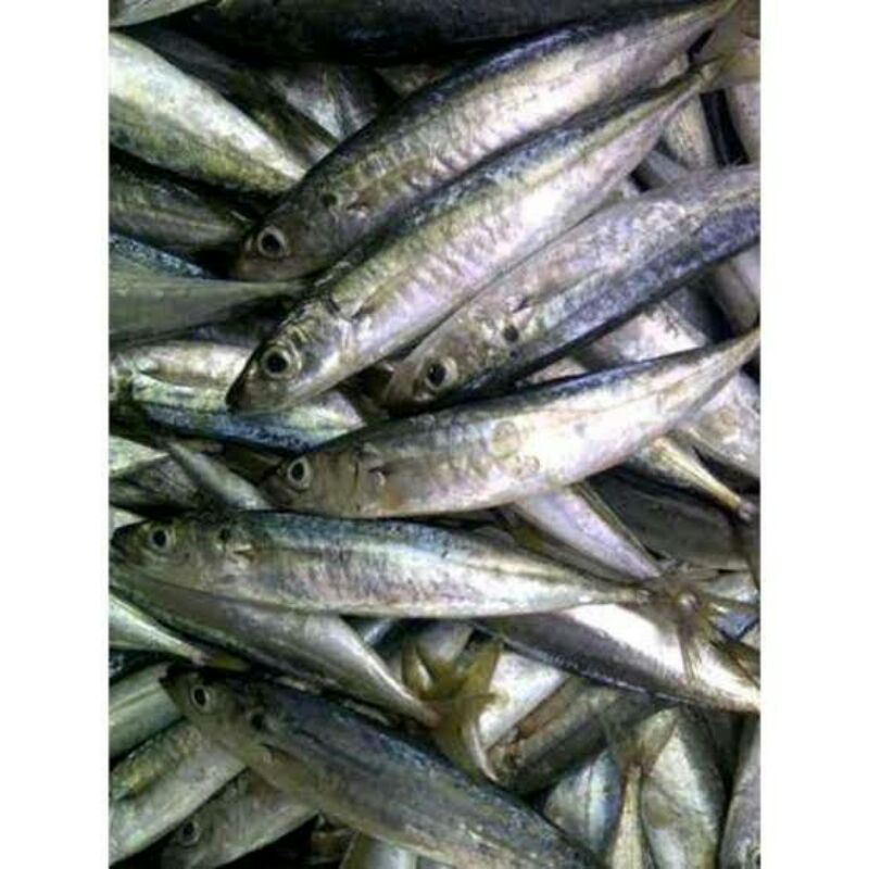 

ikan Salem 500 g
