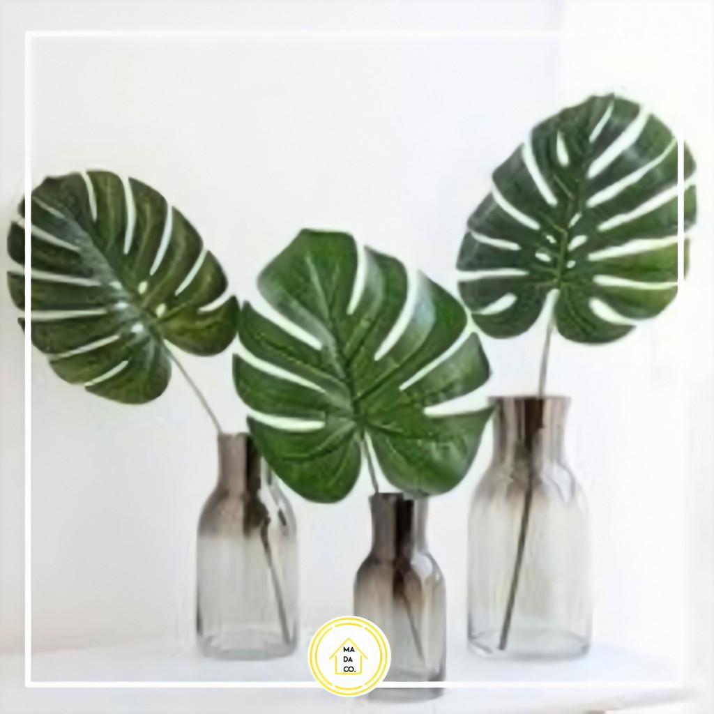  Daun  Monstera Daun  Estetik  philodendron daun  artificial 