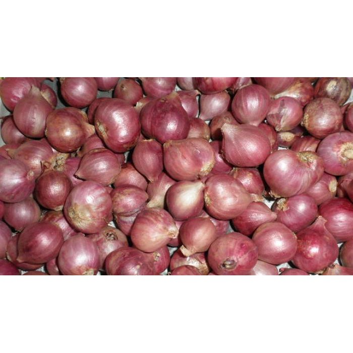 

Bawang Merah 100 gram