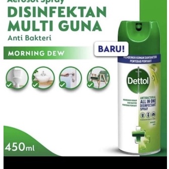 Dettol Disinfektan Multi Guna