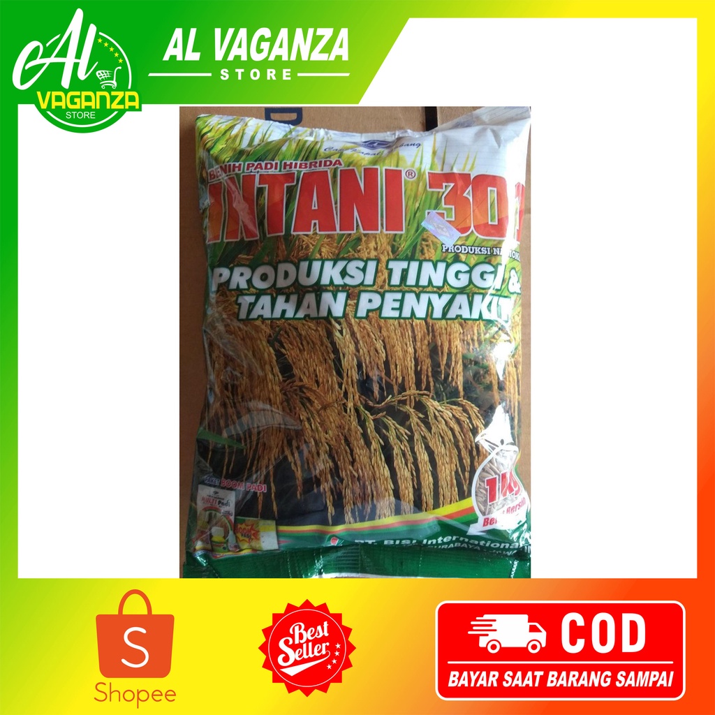 

Padi Intani 301 1KG