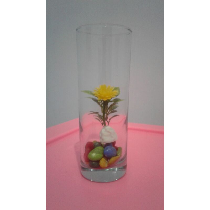 gelas panjang cupang