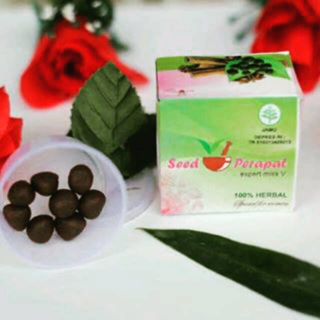 Seed Perapat Obat Jamu Pelancar Haid Mens Menstruasi Tidak Lancar Haid Ampuh Obat Telat Terlambat Ha