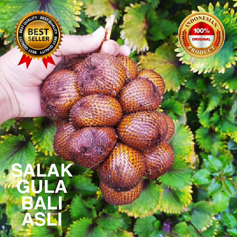 

salak gula pasir bali 1kg
