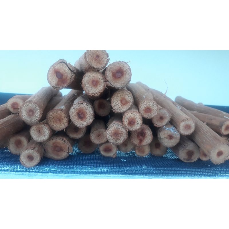 

Herbal Bajaka Batangan