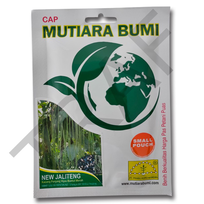 BENIH KACANG PANJANG HIJAU BUNTUT MERAH NEW JALITENG ISI 200 BUTIR ORIGINAL PACKING CAP MUTIARA BUMI