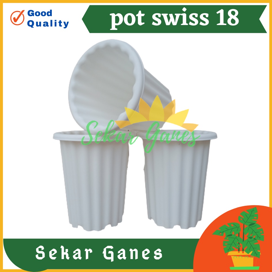 Pot Swiss 18 Putih  Pot Yogap 18 Putih Coklat Merah Bata Bening Transparan Pot Yogap 17 18 19 Pot Yogap Murah Pot Bunga Tinggi Pirus Tegak Bagus Tebal