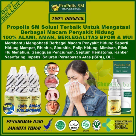 Obat Rhinitis Alami - Obat Rinitis Herbal - Obat Gangguan Pada Hidung - Obat Herbal Alami Rhinitis