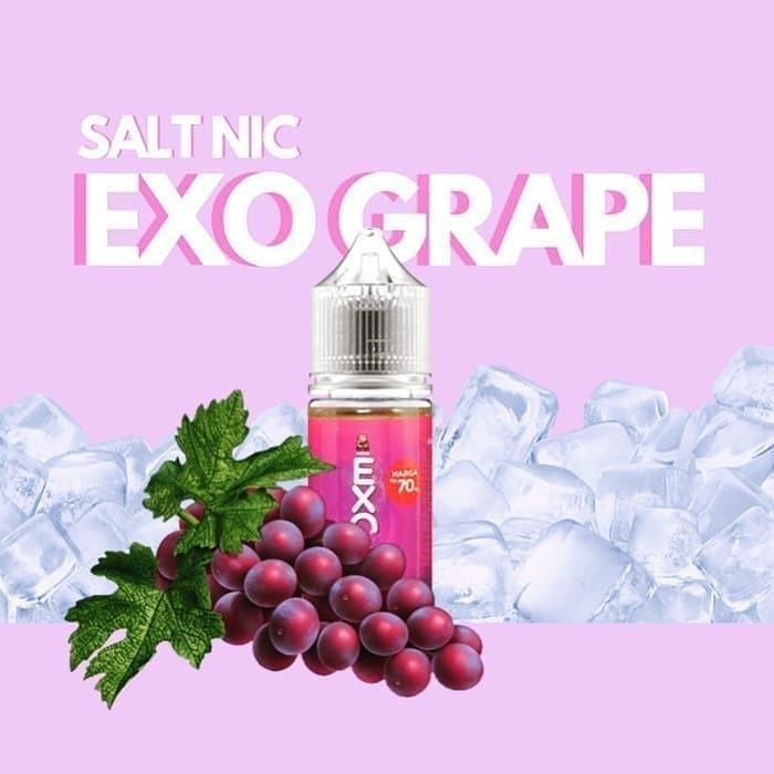 monk exo mango melon grape salt 30ml liquid vape