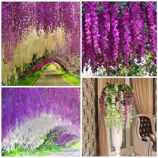  READY MEDAN BUNGA  WISTERIA ARTIFISIAL BUNGA  GANTUNG 