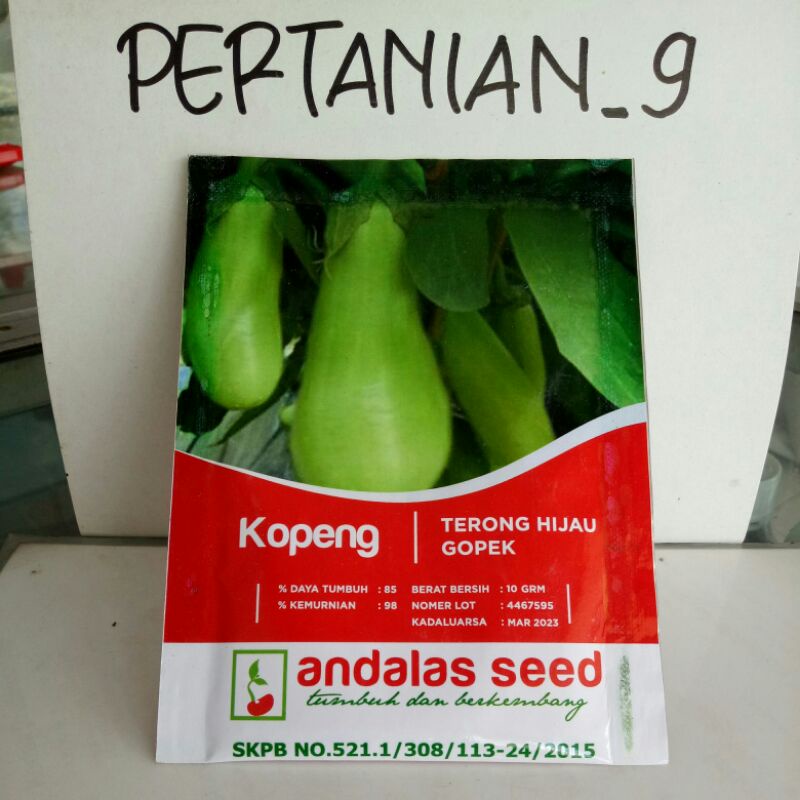 Bibit TERONG HIJAU gopek terung kopek 2000 biji (10gram) / benih sayuran