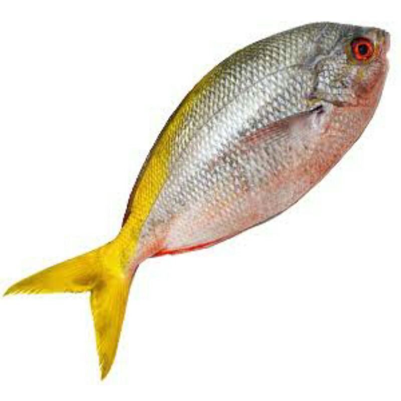 

Ikan Ekor Kuning Segar - 1 Kg