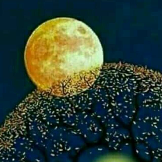 RagamJaya20 store logo