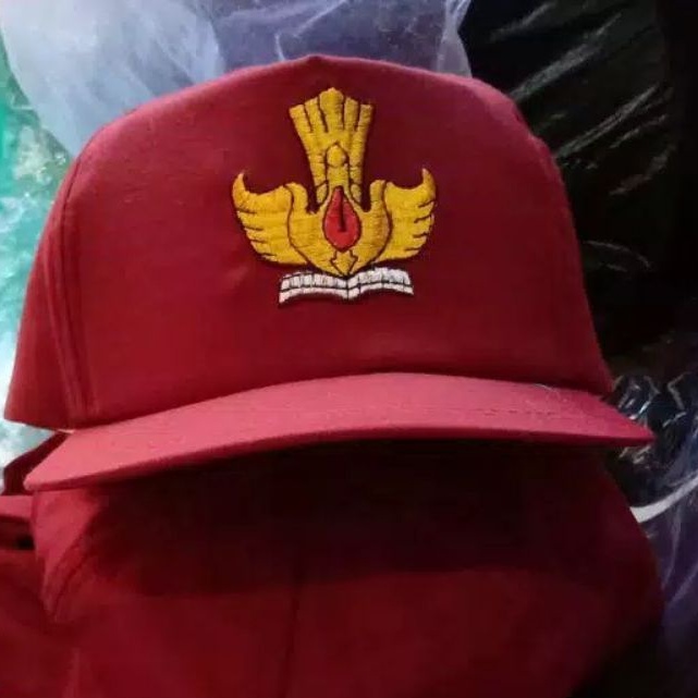 TOPI SEKOLAH 10pcs