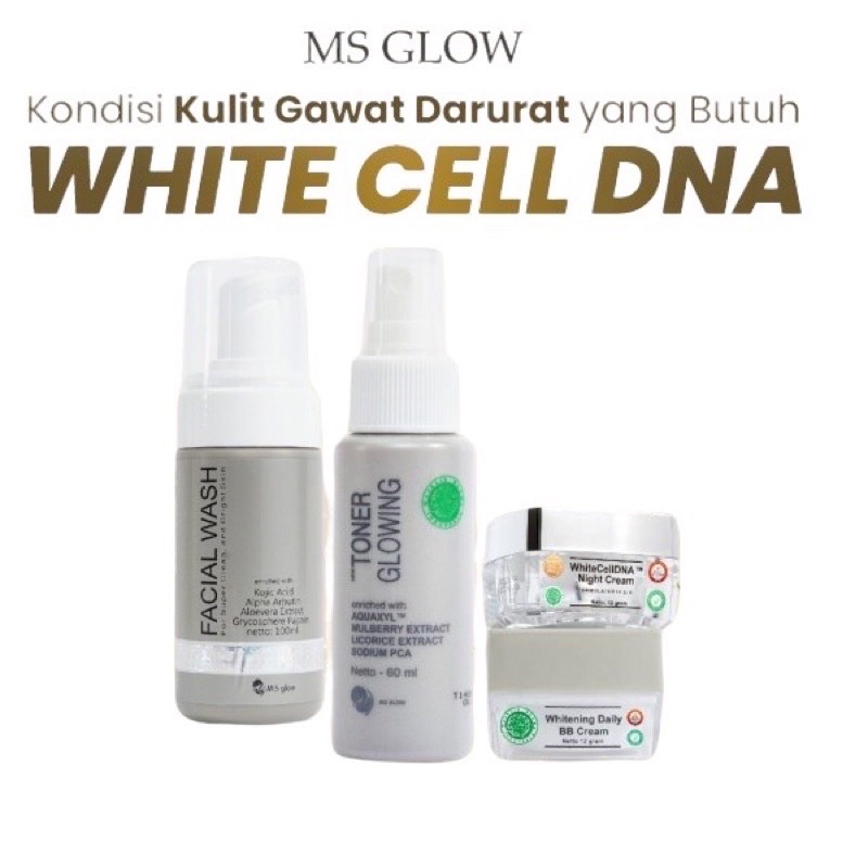 MS GLOW PAKET WHITECELL DNA