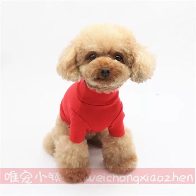 Korean Turtle Neck Red