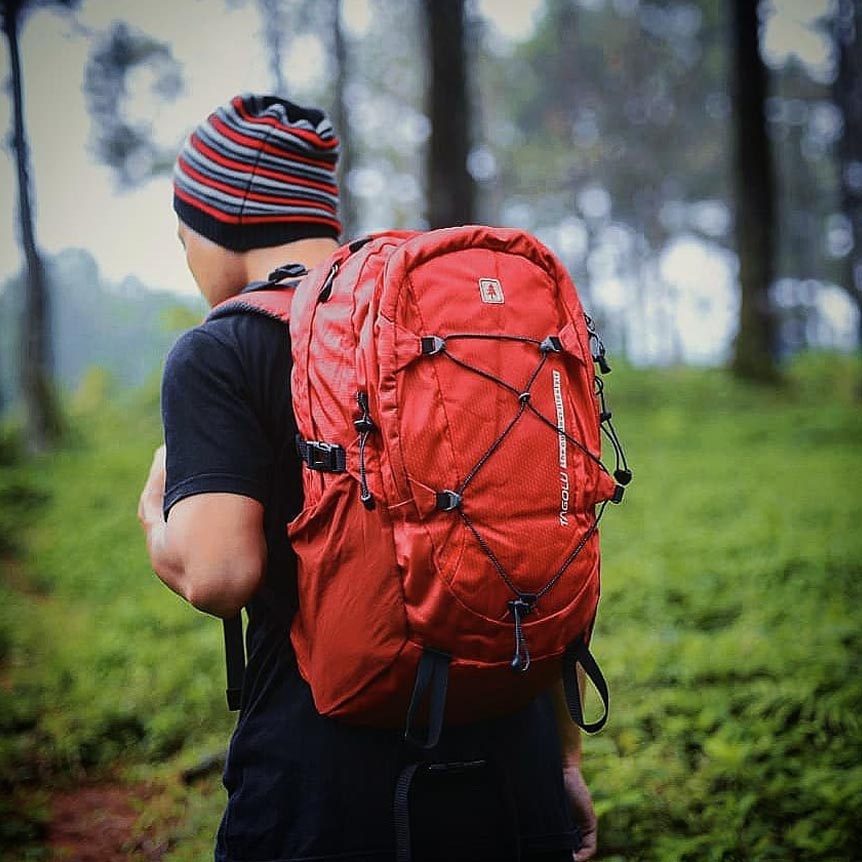 Tas Punggung/ Ransel Consina Tagolu 30L