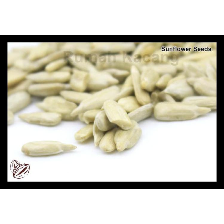 

Sun Flower / Biji Bunga Matahari Mentah 1Kg Komplit