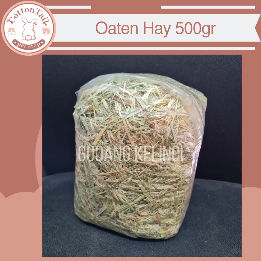 DAILY OATEN HAY MAKANAN KELINCI / BEST CHOICE 500GR / BUKAN TIMOTHY