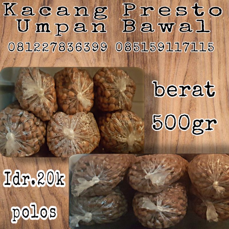 kacang presto polos umpan Galatama bawal