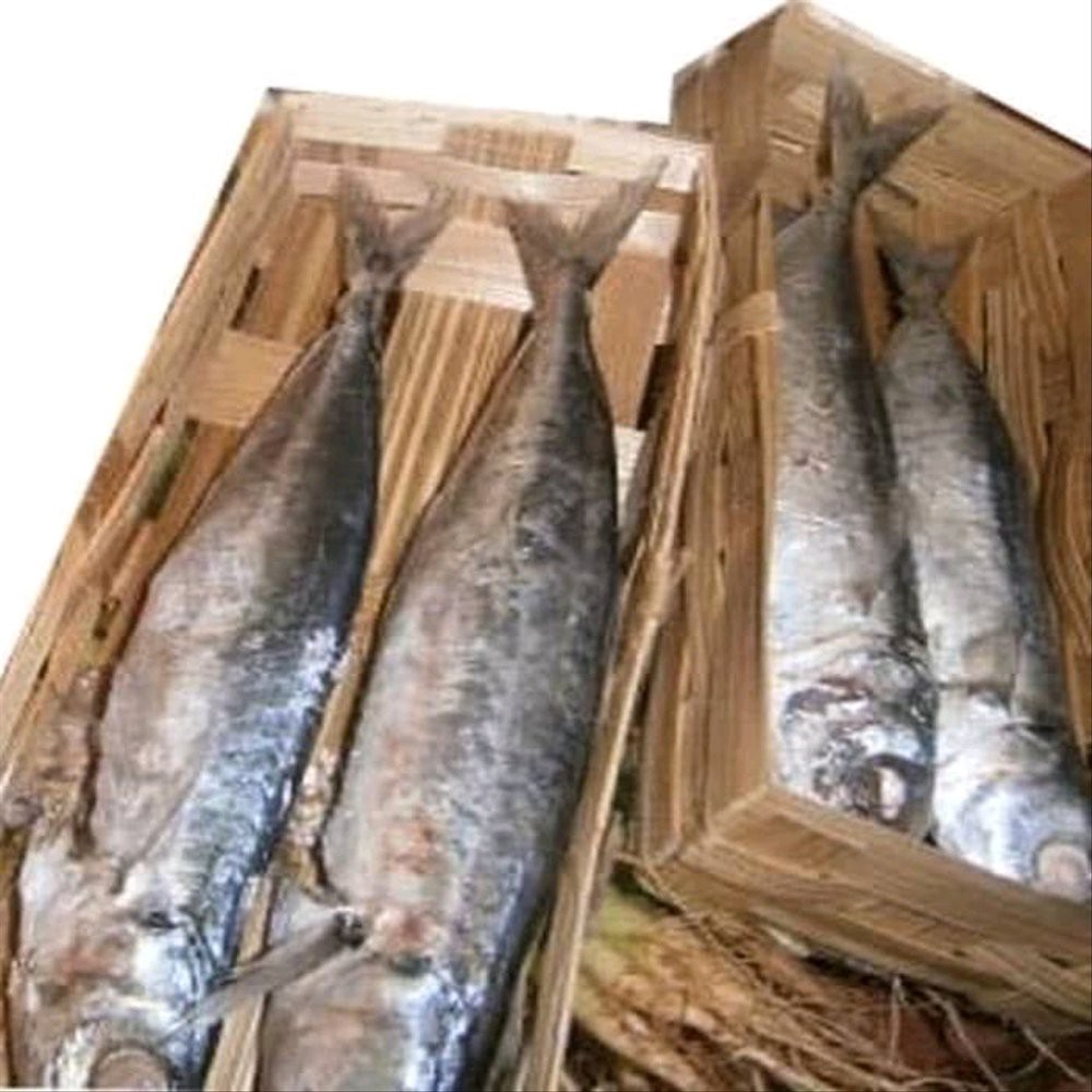 

Ikan Cue Ranjang