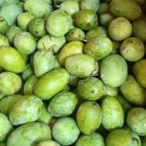 

Mangga Kaweni/Kweni Fresh/Buah Segar