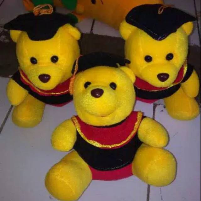 Boneka the pooh wisuda.