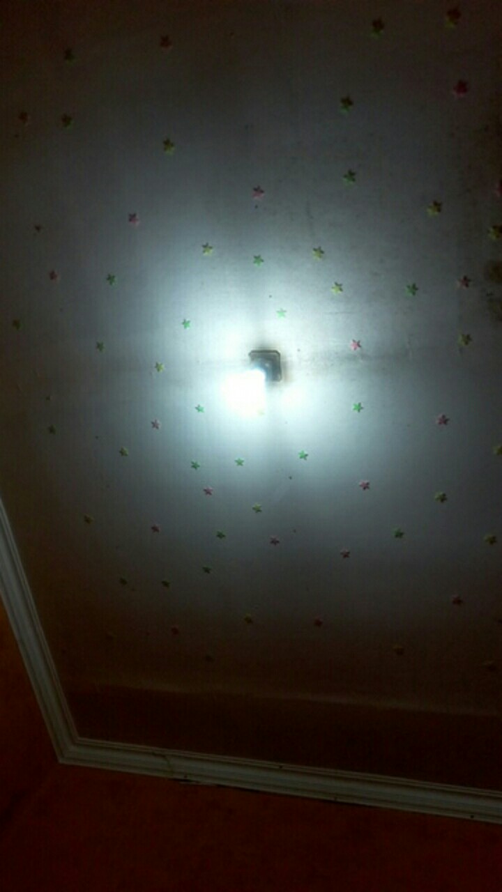 10 Lembar Lem Lalat Pelekat Lalat Sakti Kimo