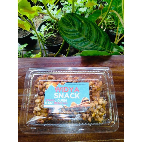 

AMPYANG KACANG KHAS WONOGIRI 200 Gram