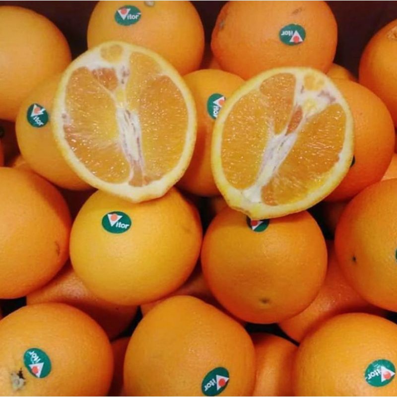 

jeruk sunkist navel australia import 1kg