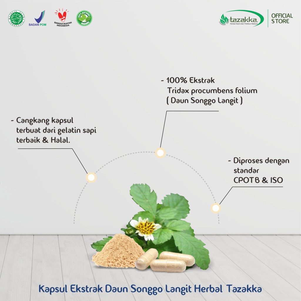 Kapsul SONGGOKAPS Tazakka obat Penyakit Asam Urat Dan Pegel Linu HALAL BPOM