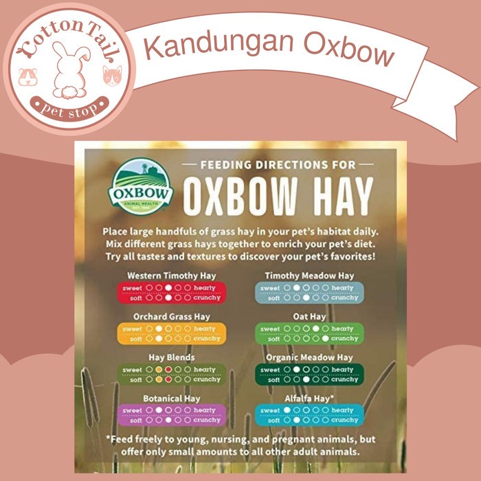 OXBOW Western TIMOTHY Hay 100 GR / Rumput Makanan Kelinci, Cavy