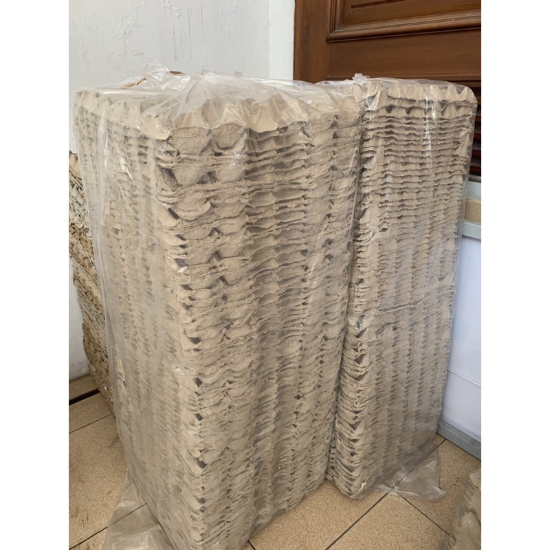 Egg Tray Karton