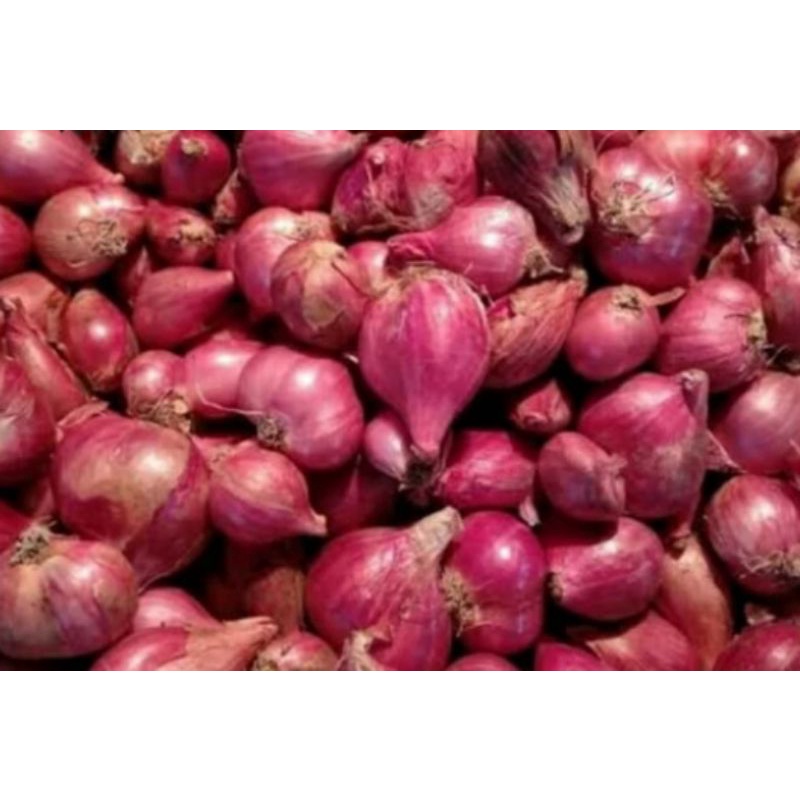 

bamer kualitas zuper 1kg