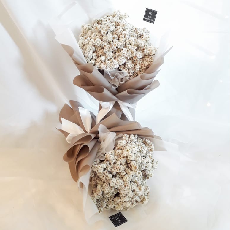 Baby Edelweis Cream Medium Series Bouquet Buket bunga Baby Edelweis Cream Medium Series Bouquet Buket bunga