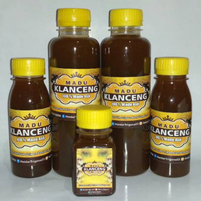 

Madu Klanceng Murni 100% Tanpa Campuran