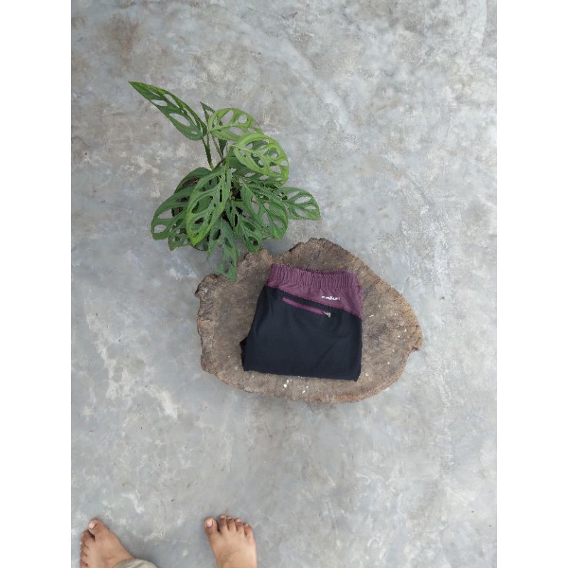 Celana Quick Dry Praus