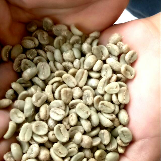 

Green bean arabica montana korintji, kerinci jambi
