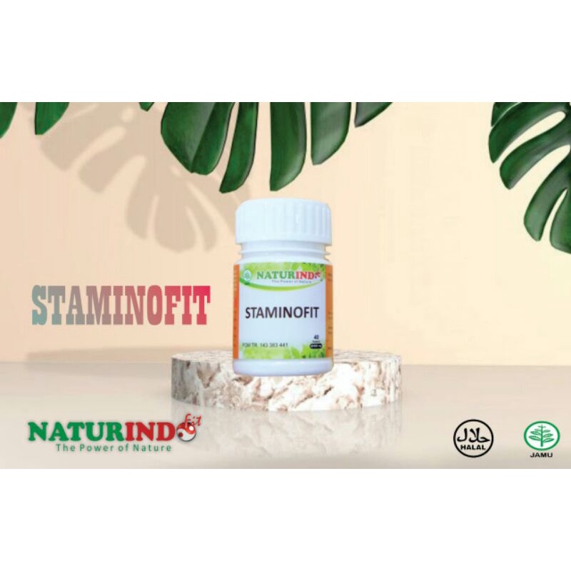 STAMINOFIT Naturindo obat herbal vitalitas pria