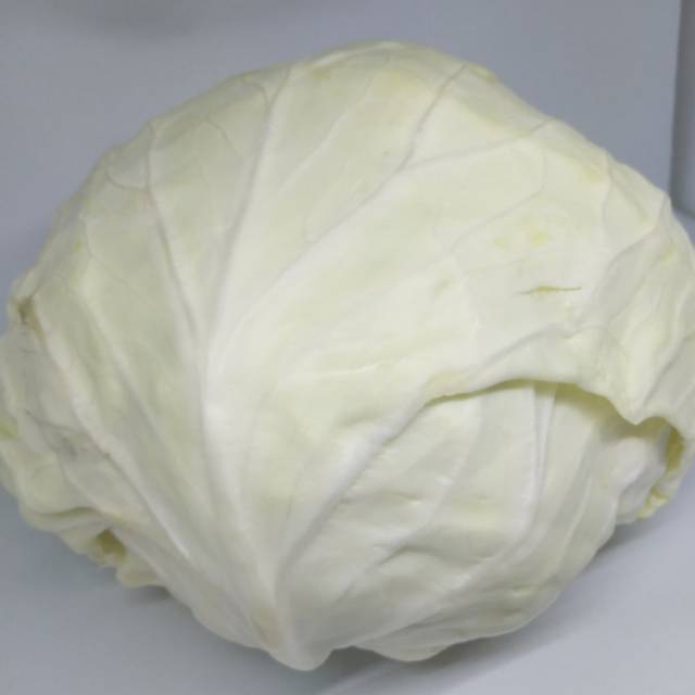 

Kol putih segar 250 gram/ 500 gram, sayur medan