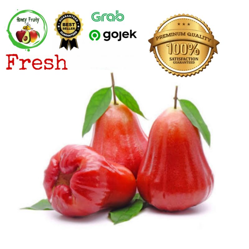 

Jambu Citra/1 kg