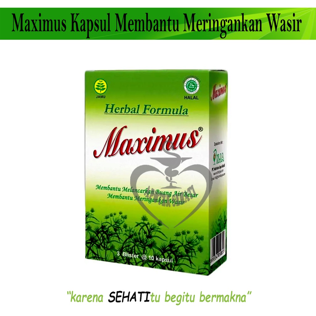 Maximus Dietary Kapsul Herbal Pelangsing Diet Alami