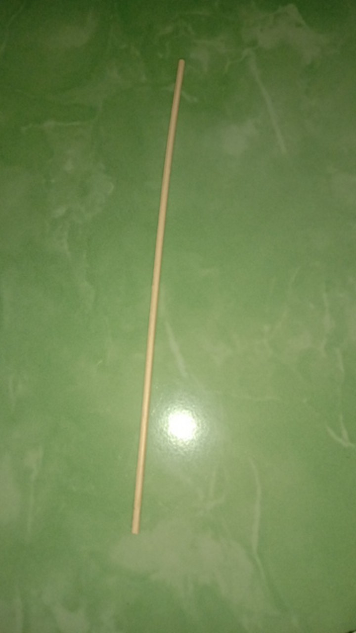 [ 20cm ] Rotan Untuk Reed Diffuser Aromatherapy