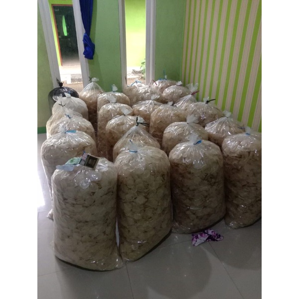 

kripik kaca mentah/kripca/berat500gram