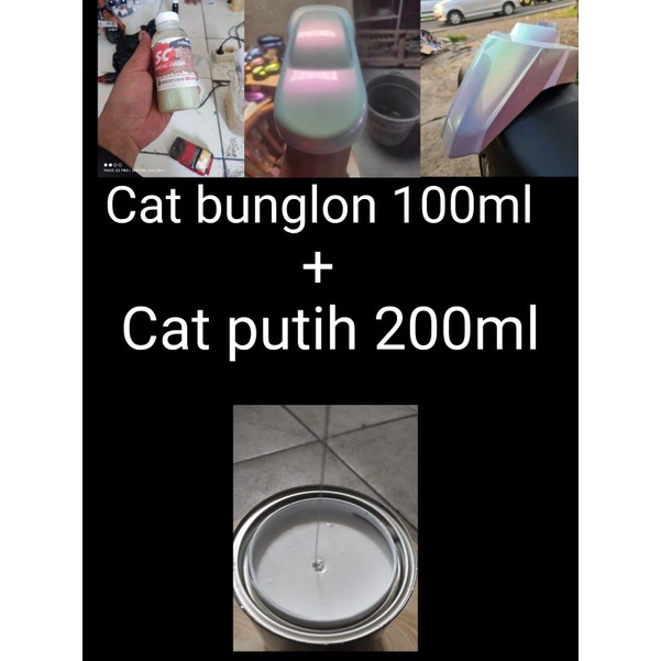 Cat Bunglon 100ml plus cat dasar warna putih 200ml by SCp