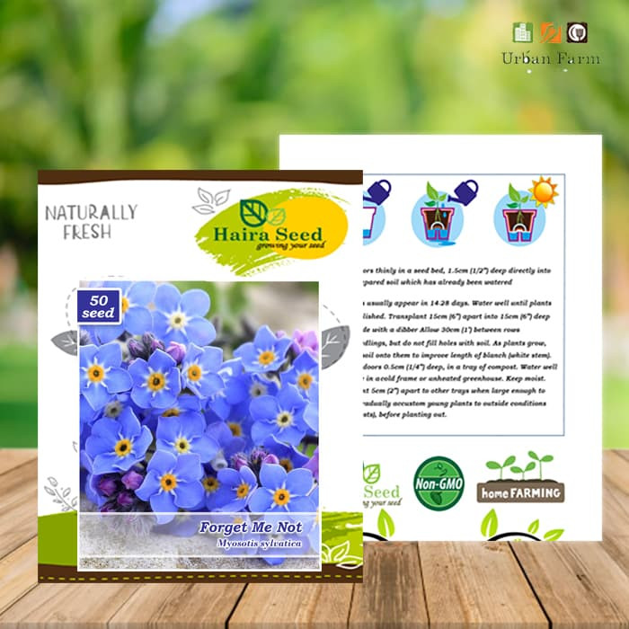 Haira Seed Bibit-Biji Bunga Forget Me Not
