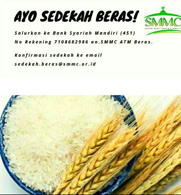 celana dalam anak laki-laki TGT cowok bayi balita batita M