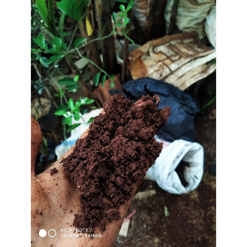 

Media Tanam Tanah Merah 500gr